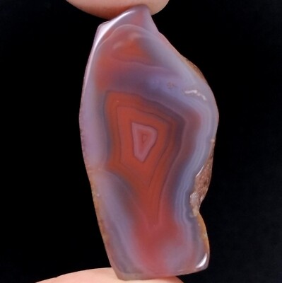 Natural Rare Botswana Agate Fancy Shape Slice Both Side Flat Loose Gemstone