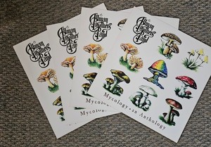 Allman Brothers Band Promotional Poster Flats 12 X 12   Rare