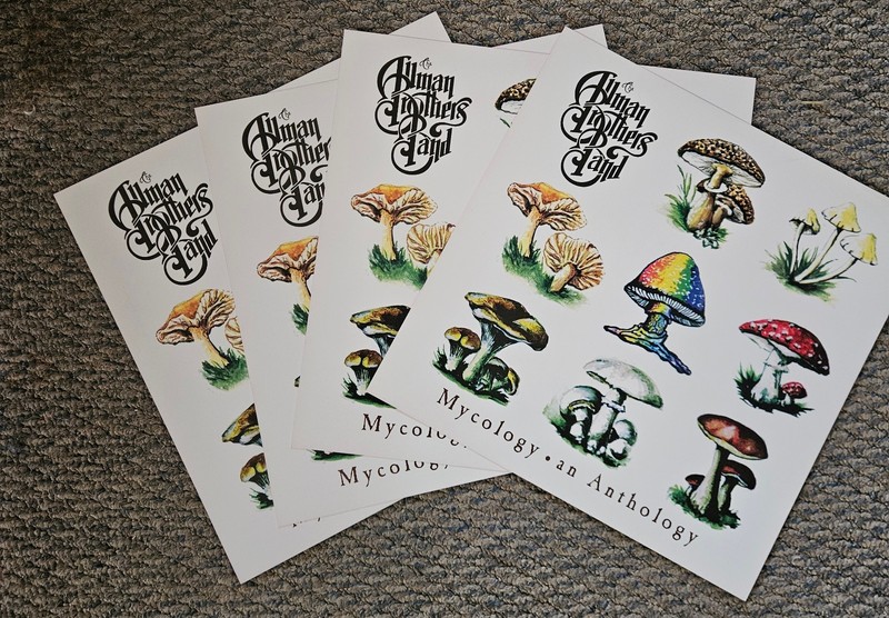 Allman Brothers Band Promotional Poster Flats 12 X 12   Rare