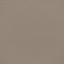 Ford/Lincoln/Mercury New Medium Parchment Leather Dye