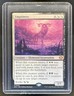 2026 Magic The Gathering Lorwyn Eclipsed Emptiness #0222