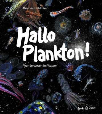 Hallo Plankton! | Wunderwesen im Wasser | Kristina Heldmann | Buch | 96 S.