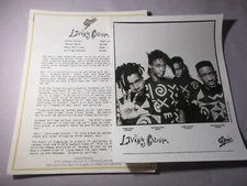 Living Colour Press Kit