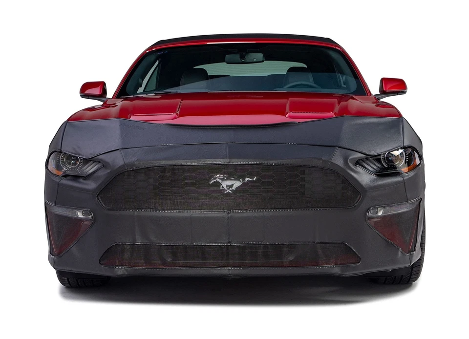 Cubierta frontal personalizada LeBra | 551353-01 | Compatible con Ford Flex M selecto... Foto 3 de 4