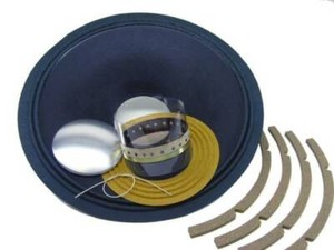 speaker recone kit
