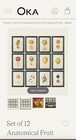 OKA - Set of 12 Anatomical Fruit Framed Prints - Black - A10012-1-10-1001-10 — photo 1