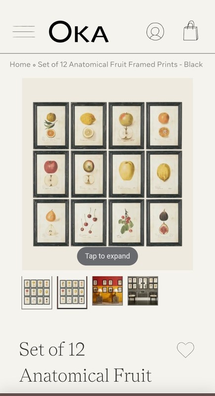 OKA - Set of 12 Anatomical Fruit Framed Prints - Black - A10012-1-10-1001-10