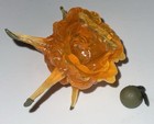 Bild 3 von 5