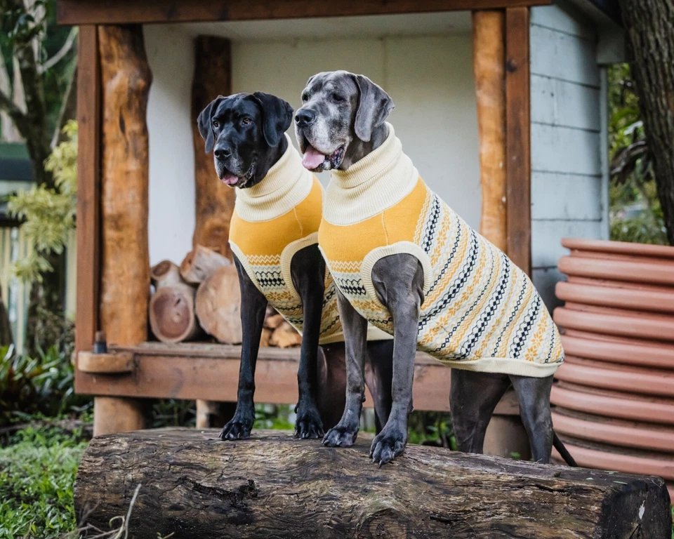 Mila+me 'OSLO' Designer Dog Jumper For GREAT DANE - Image 4 of 4