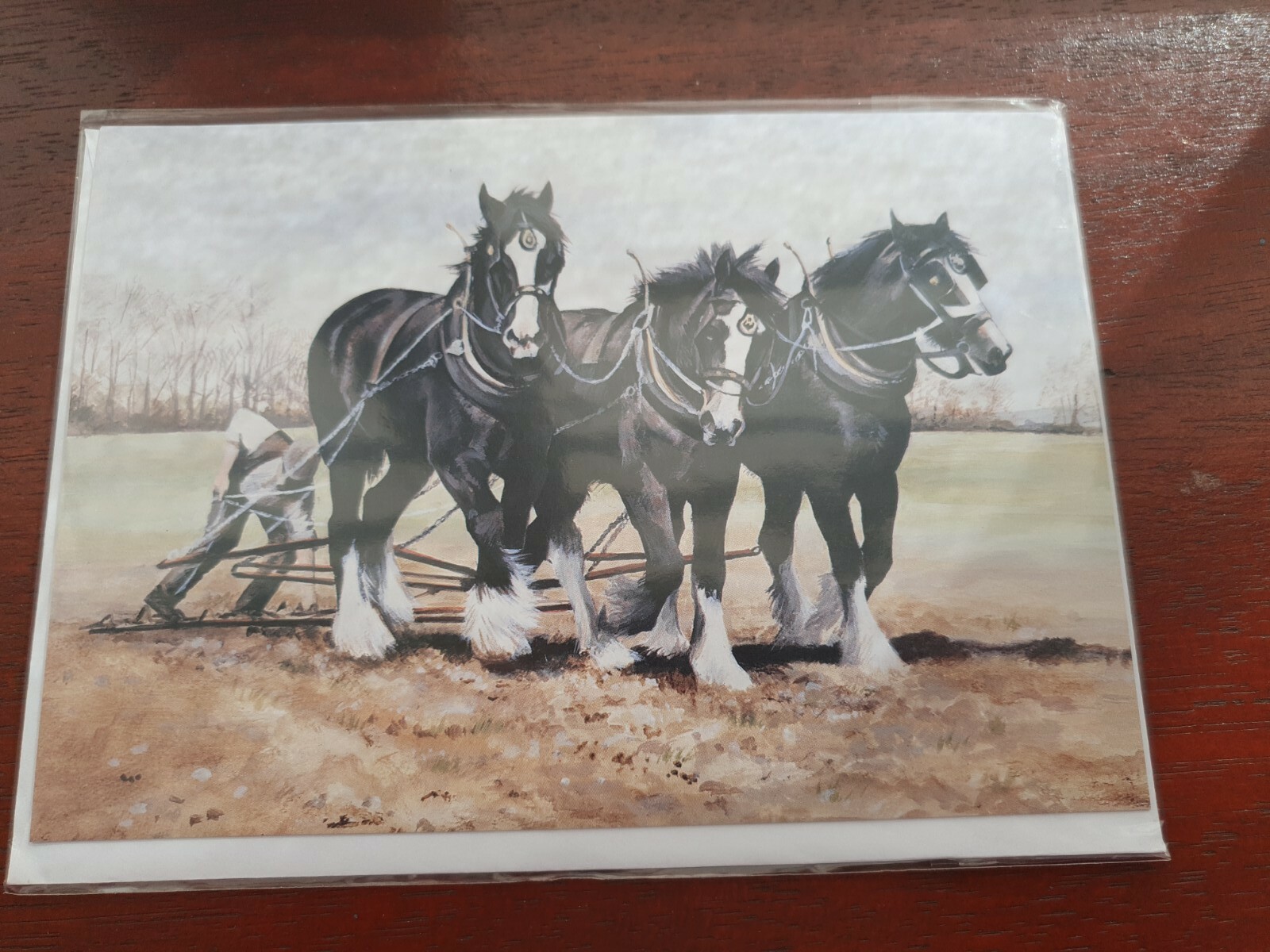 Heavy Horses greetings card Working HORSES blank card SHIRE HORSE farming SHIRES