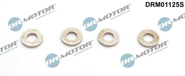 Fits Dr. Motor Automotive DRM01125S Heat Shield, injection system  ⭐UK Stock⭐