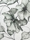 ACEO Original art ink & wash Sumi watercolor florals with calligraphic detail — photo 4