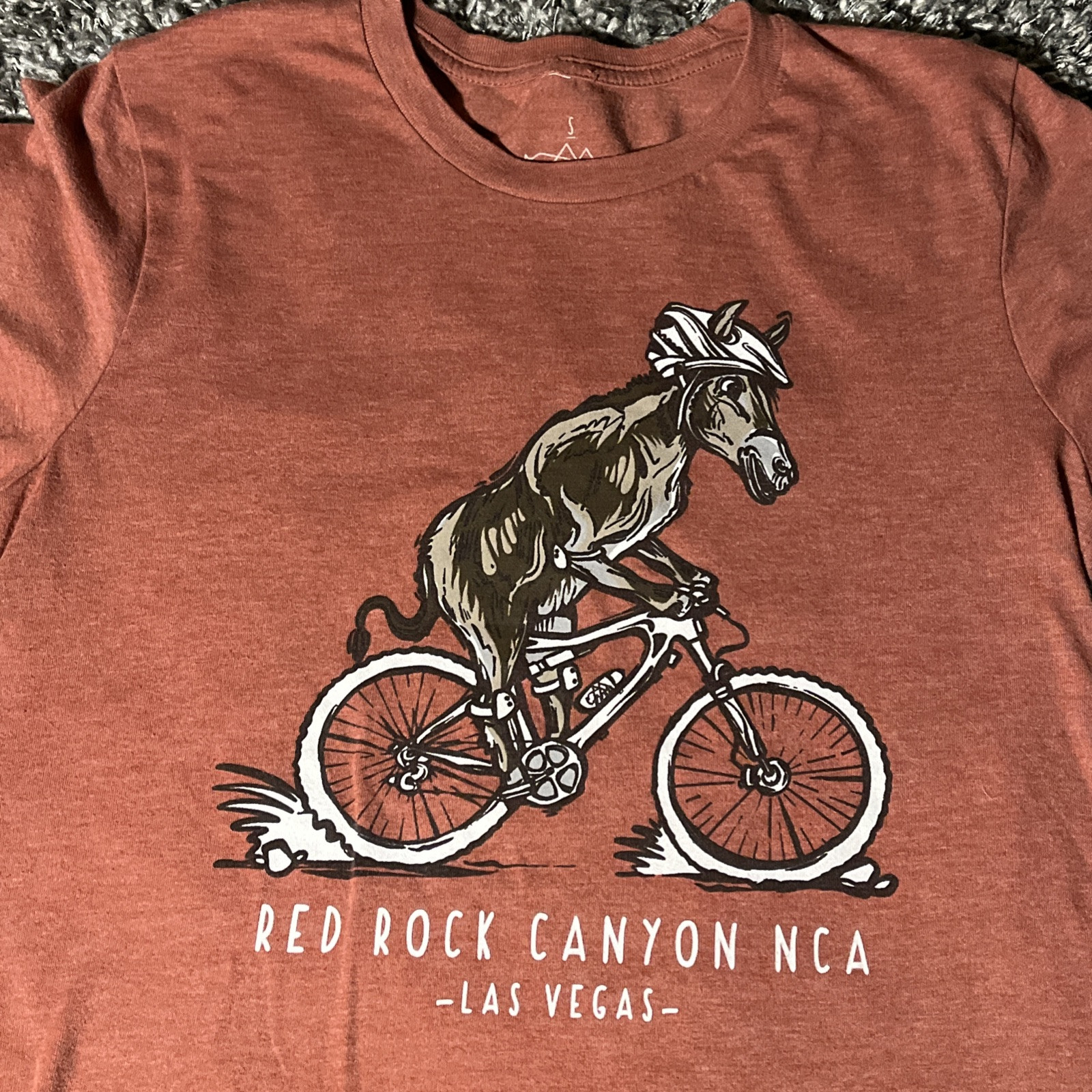 Red Rock Canyon NV Las Vegas T-Shirt Men's S Rust Heather EUC Donkey Bike Tee  
