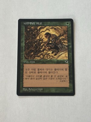 MTG Root Maze Tempest Korean Magic the Gathering