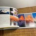 Picture 16 of 21