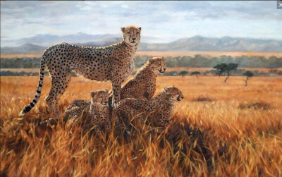 Julia Rogers Artist Signed #71 Ltd Ed Canvas: ''A Vantage Point -Cheetah''