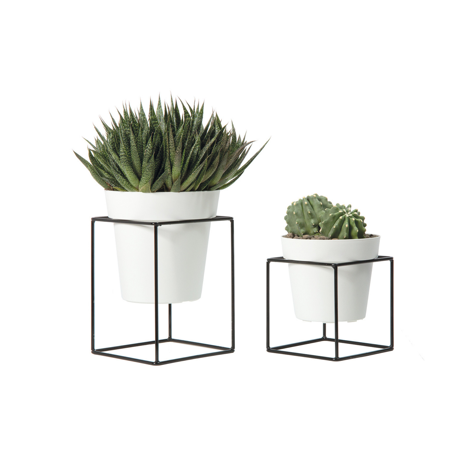Set Nicoli Arké UP 4 Pezzi: Vasi con Piedistallo per Urban Jungle