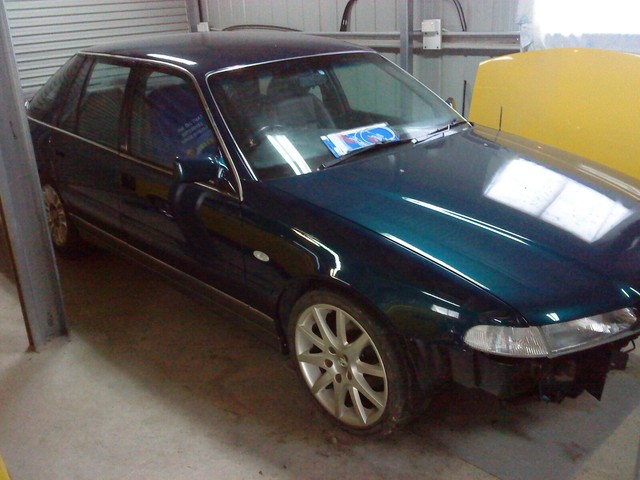 NEW YEAR SHED CLEAN OUT