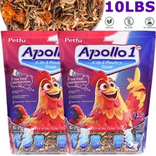 6 in 1 Poultry Treat 10LBS High Protein Feed Worms for Chicken Egg-Laying Health