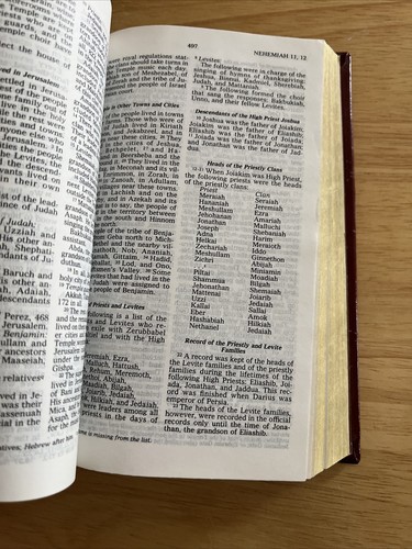 Bible Good News Today's English Version 1976 Maroon Padded - Picture 17 of 22