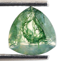Natural Tree Moss Agate Trillion 8X8 mm Calibrated Cut Loose Gemstone 1.60 Ct.