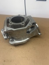 Go Kart Rotax junior cilindro canna fr125 Wild Rotax Otk tonykart Crg ms 