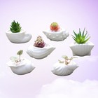  6 PCS Einfache Keramik Blumentopf Mini Conch Shaped Desktop Kreative