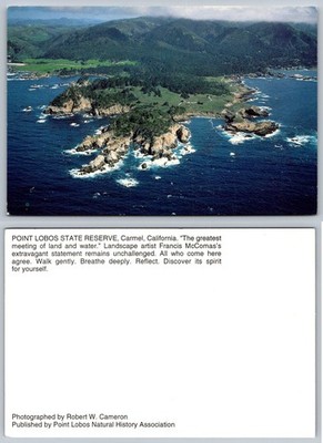 Point Lobos State Reserve Carmel CA Aerial View Vintage Coastal Postcard