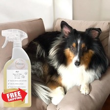 Naturally It's Clean Enzyme Pet Stain Odor Remover Plant-Based