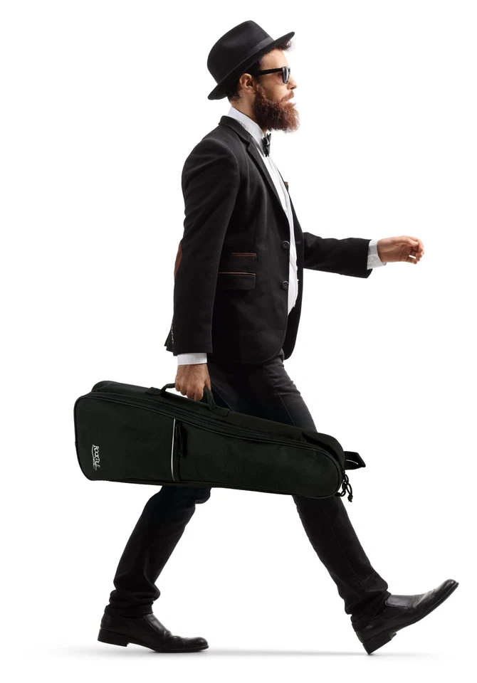 Housse Ukulélé Sac Gig pour Guitare Ukulele Concert Rembourrage Transport Etui - Photo 2/4