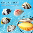 Simulation Clam Water Spray Toy Portable Beach Water Play Toy Water Spray A F1F5