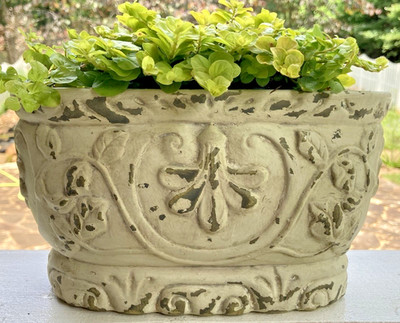 VTG French Country Whitewash Planter Jardiniere Raised Scrolls Flowers 9x5 Oval