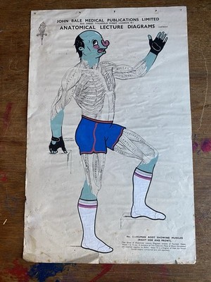 Mr Penfold Original Artwork (2012) White Canvas Project, Anatomical Chart Rare