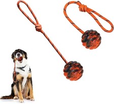 Dog Training Ball on Rope - Exercise  Reward Toy for Dogs - Chew, Pull,