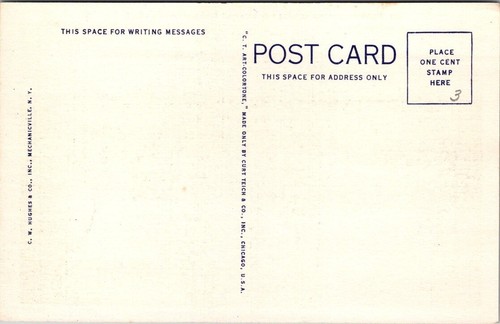 MT. Postal MORRIS Raqueta Río TUPPER LAKE Nueva York lino sin usar - Imagen 2 de 2