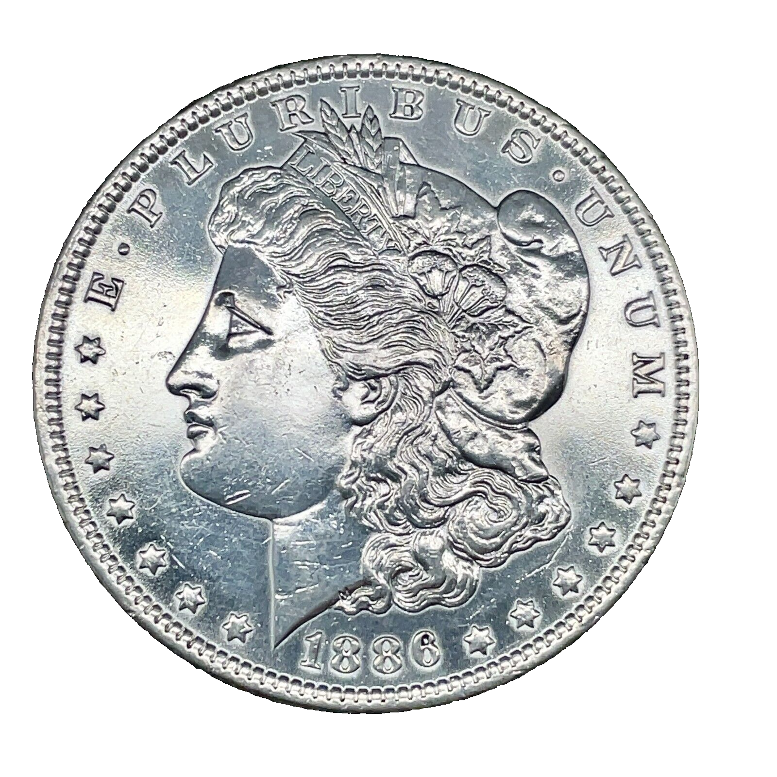 Picture 5 of 17