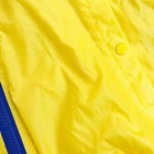 Afbeelding 6 van 11