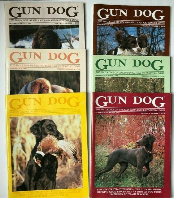 Gun Dog Magazine Lot 1988 Excellent condition FREE SHIP eBay