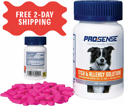 dog allergy solutions