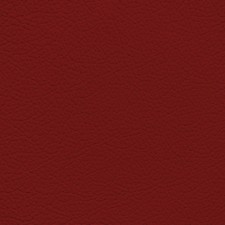 BMW Imola Red Leather Dye