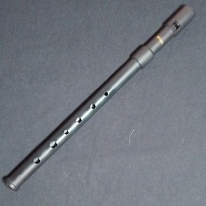 Woodnote Irish Whistle Key of D, Black Plastic Tin Whistle with case