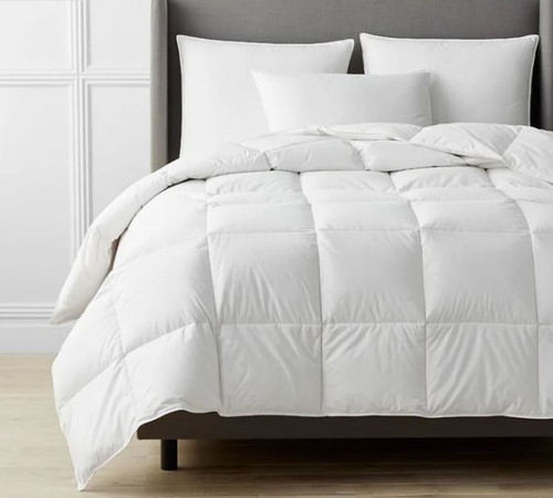 The Company Store Legends Organic Cotton 35oz Down Med Comforter, Queen $552