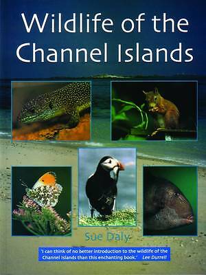 Wildlife of the Channel Islands - Image 2