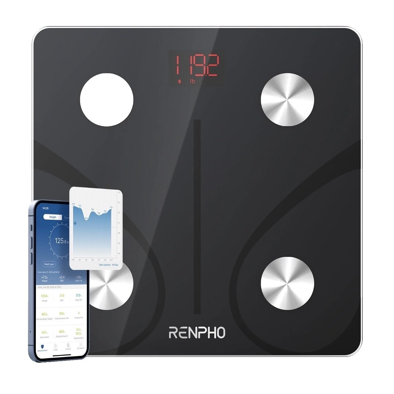 黑色体质秤和体重秤