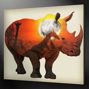 White African Rhino Canvas Print Picture Wall Art Home Decor Free Fast Delivery Ebay