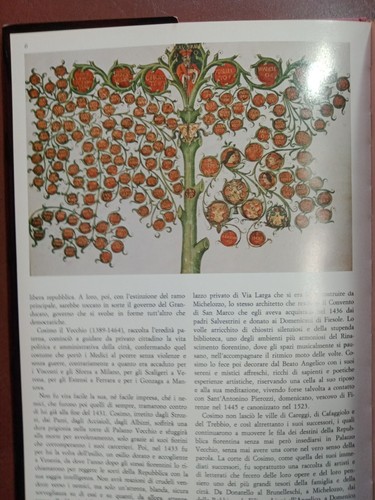 I Medici a Firenze Ritratto di famiglia HBDJ 1979 The Medici of Florence Italy - Picture 4 of 17