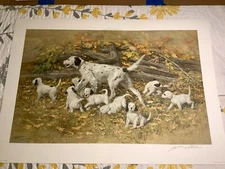 Robert K Abbett "ENGLISH SETTER FAMILY" Original Signed Print of 750 