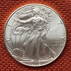 2013 American Silver Eagle .999 Fine Silver BU from U.S. Mint Roll 1 Oz Nice!