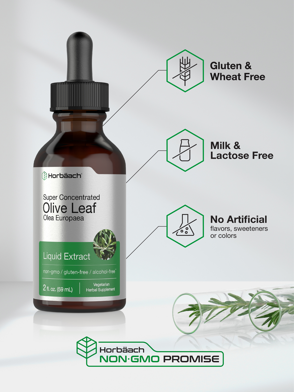 Olive Leaf Extract Liquid 2 fl oz Alcohol Free, Vegetarian by Horbaach 840050600191 eBay