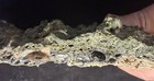 Green Puquio de Núñez (PN) Type PICA GLASS IMPACTITE  317-grams, 11.2-oz. Chile — photo 2